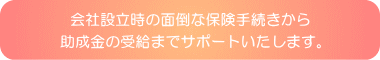 会社設立時の面倒な保険手続きから、助成金の受給までサポートいたします。